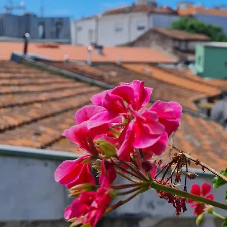Kirashouse * Oporto
