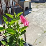 Kirashouse Appartamento