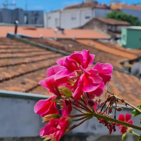 Kirashouse * Porto